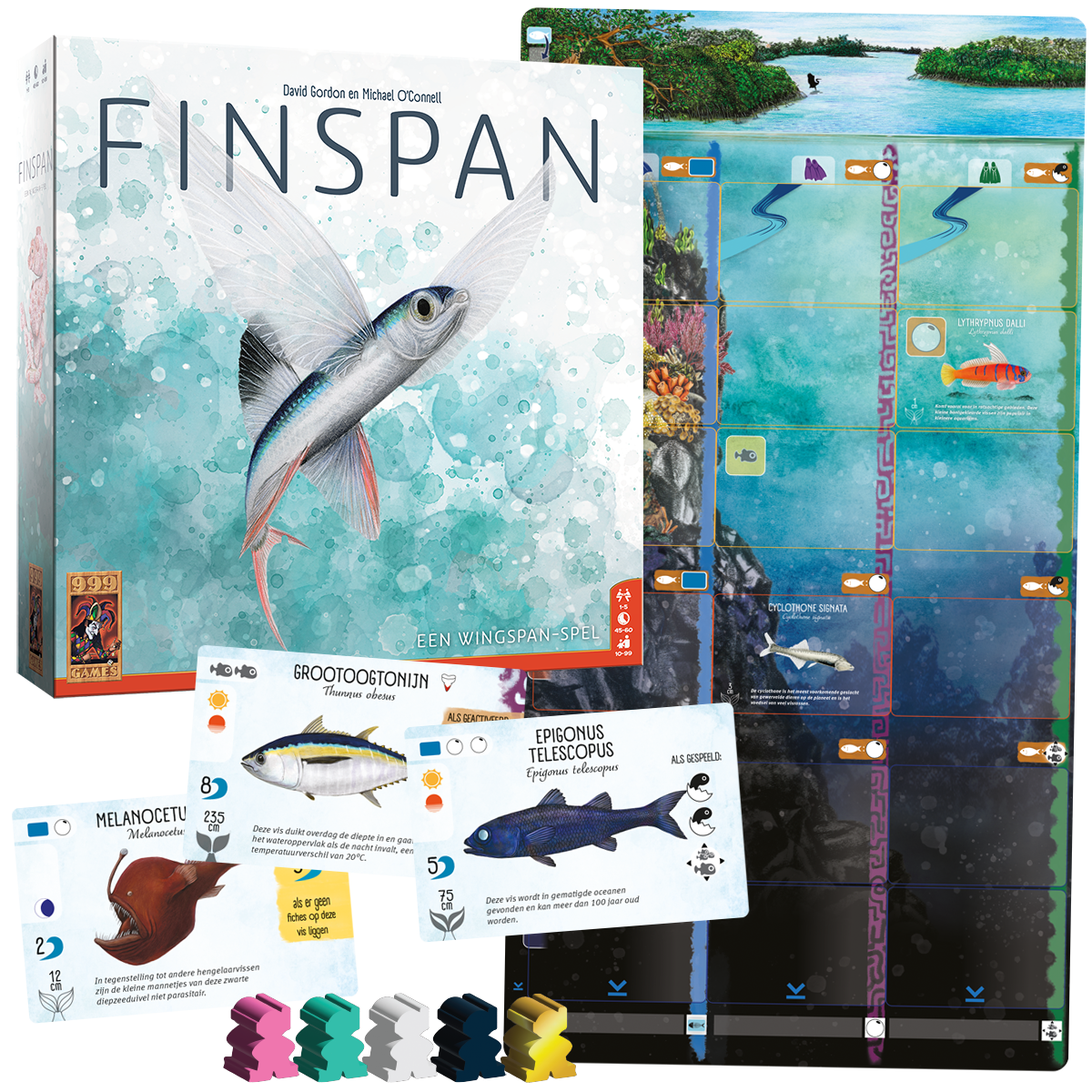Finspan - NL